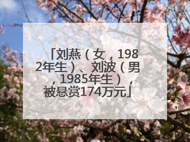 刘燕（女，1982年生）、刘波（男，1985年生），被悬赏174万元