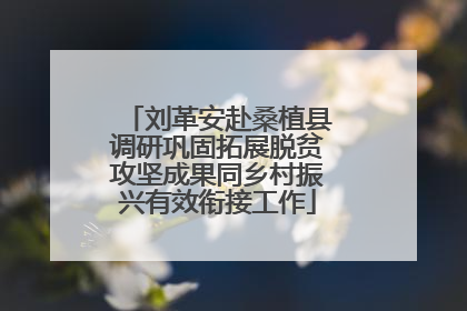 刘革安赴桑植县调研巩固拓展脱贫攻坚成果同乡村振兴有效衔接工作
