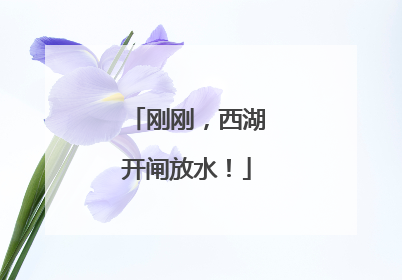 刚刚，西湖开闸放水！