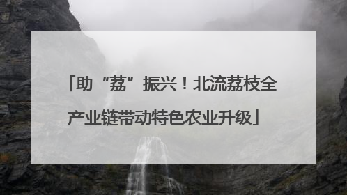 助“荔”振兴！北流荔枝全产业链带动特色农业升级