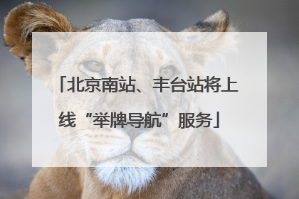 北京南站、丰台站将上线“举牌导航”服务