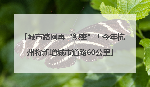 城市路网再“织密”！今年杭州将新增城市道路60公里