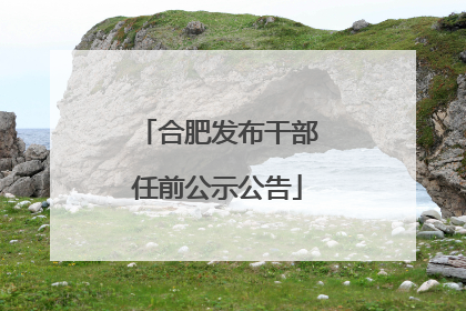 合肥发布干部任前公示公告