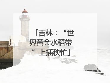 吉林：“世界黄金水稻带”上插秧忙