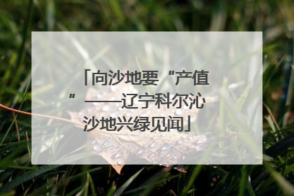 向沙地要“产值”——辽宁科尔沁沙地兴绿见闻
