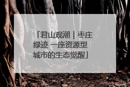 君山观潮｜枣庄绿迹 一座资源型城市的生态觉醒