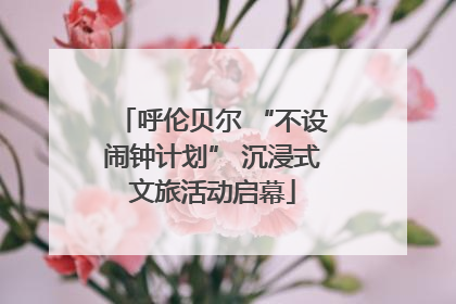 呼伦贝尔 “不设闹钟计划” 沉浸式文旅活动启幕