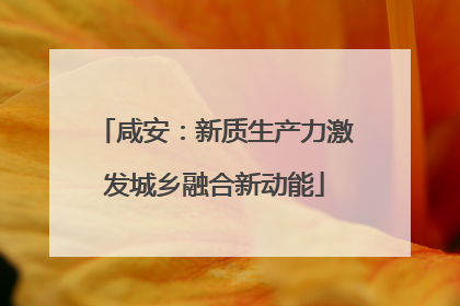 咸安：新质生产力激发城乡融合新动能