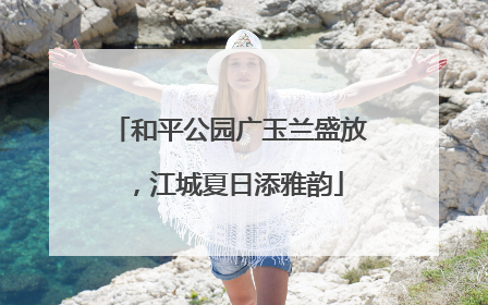 和平公园广玉兰盛放，江城夏日添雅韵