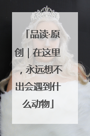 品读·原创｜在这里，永远想不出会遇到什么动物