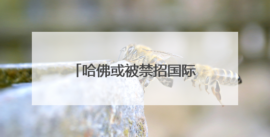哈佛或被禁招国际学生 比利时未来女王可能受影响