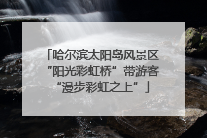 哈尔滨太阳岛风景区“阳光彩虹桥”带游客“漫步彩虹之上”