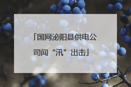 国网泌阳县供电公司闻“汛”出击