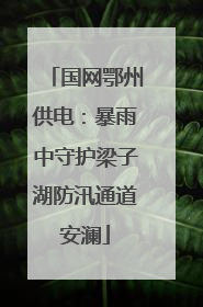 国网鄂州供电：暴雨中守护梁子湖防汛通道安澜