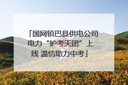 国网镇巴县供电公司 电力“护考天团”上线 温情助力中考