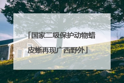 国家二级保护动物蜡皮蜥再现广西野外