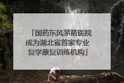 国药东风茅箭医院成为湖北省首家专业复学康复训练机构