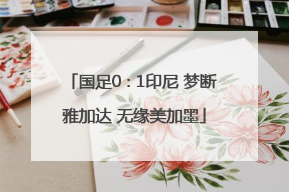 国足0∶1印尼 梦断雅加达 无缘美加墨