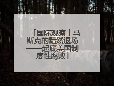 国际观察丨马斯克的黯然退场——起底美国制度性腐败