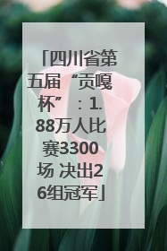 四川省第五届“贡嘎杯”：1.88万人比赛3300场 决出26组冠军