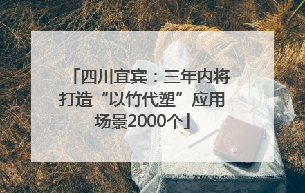 四川宜宾：三年内将打造“以竹代塑”应用场景2000个