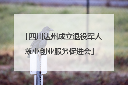 四川达州成立退役军人就业创业服务促进会