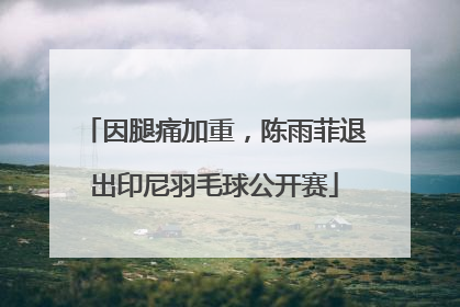 因腿痛加重，陈雨菲退出印尼羽毛球公开赛