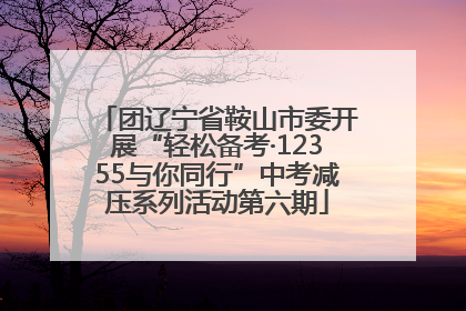团辽宁省鞍山市委开展“轻松备考·12355与你同行”中考减压系列活动第六期