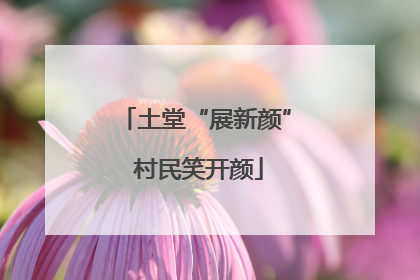 土堂“展新颜” 村民笑开颜