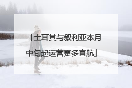 土耳其与叙利亚本月中旬起运营更多直航