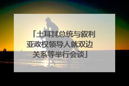 土耳其总统与叙利亚政权领导人就双边关系等举行会谈