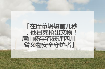 在崖墓坍塌前几秒，他冒死抢出文物！眉山杨宇春获评四川省文物安全守护者