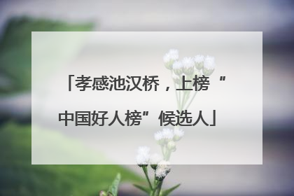 孝感池汉桥，上榜“中国好人榜”候选人