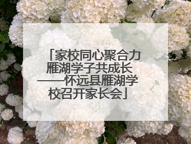 家校同心聚合力 雁湖学子共成长——怀远县雁湖学校召开家长会