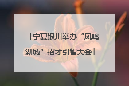 宁夏银川举办“凤鸣湖城”招才引智大会