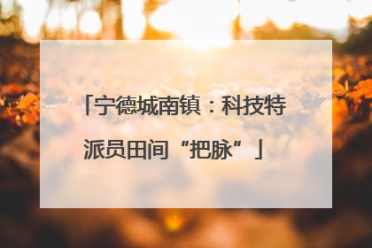 宁德城南镇：科技特派员田间“把脉”