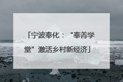 宁波奉化：“奉菁学堂”激活乡村新经济