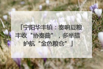 宁阳华丰镇：奏响夏粮丰收“协奏曲”，多举措护航“金色粮仓”