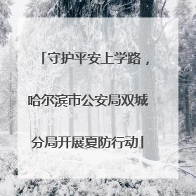 守护平安上学路，哈尔滨市公安局双城分局开展夏防行动