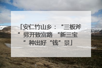 安仁竹山乡：“三板斧”劈开致富路 “新三宝”种出好“钱”景