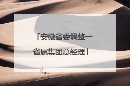 安徽省委调整一省属集团总经理