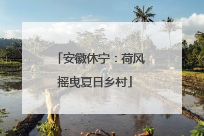 安徽休宁：荷风摇曳夏日乡村