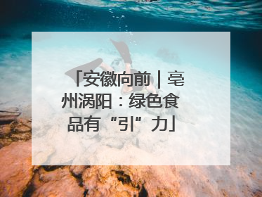 安徽向前｜亳州涡阳：绿色食品有“引”力