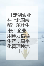定制农业在“北国粮都”茁壮生长！企业：用算力指导生产，扁平化管理种地