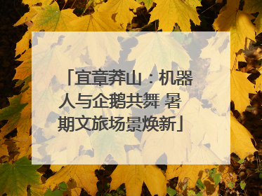 宜章莽山：机器人与企鹅共舞 暑期文旅场景焕新