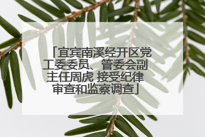 宜宾南溪经开区党工委委员、管委会副主任周虎 接受纪律审查和监察调查
