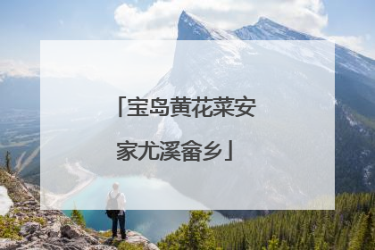 宝岛黄花菜安家尤溪畲乡
