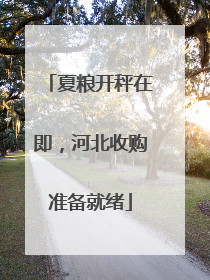 夏粮开秤在即，河北收购准备就绪