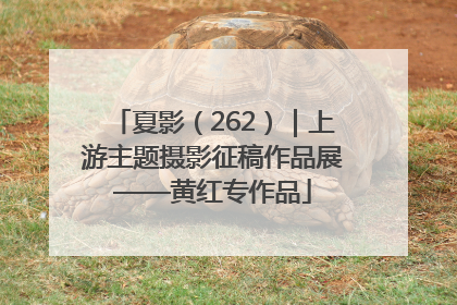 夏影（262）｜上游主题摄影征稿作品展——黄红专作品