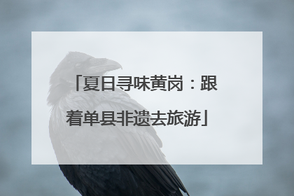 夏日寻味黄岗：跟着单县非遗去旅游